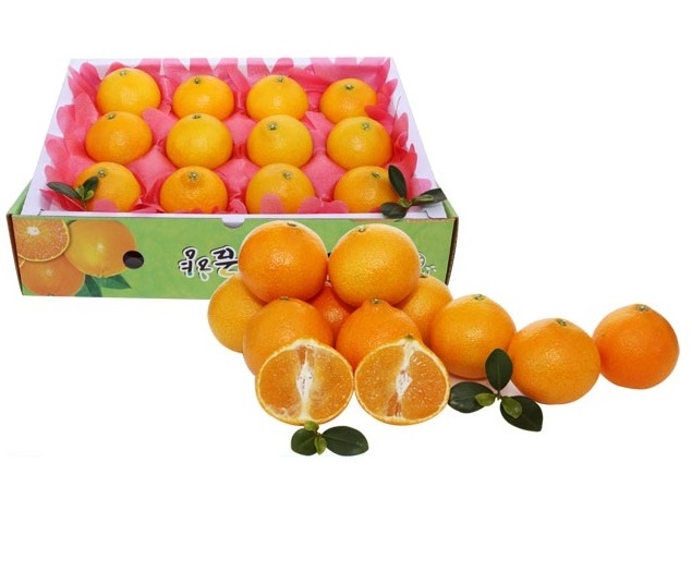Ȳ3kg(17~19)1ڽ