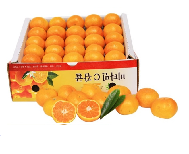 ֵ    10kg1ڽ